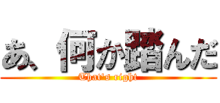 あ、何か踏んだ (That's right)