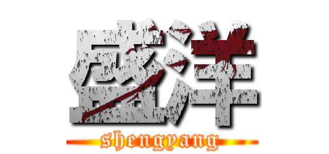 盛洋 (shengyang)