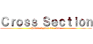 Ｃｒｏｓｓ Ｓｅｃｔｉｏｎ (Hokuto System Co., Ltd.)
