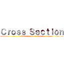 Ｃｒｏｓｓ Ｓｅｃｔｉｏｎ (Hokuto System Co., Ltd.)