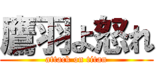 鷹羽よ怒れ (attack on titan)