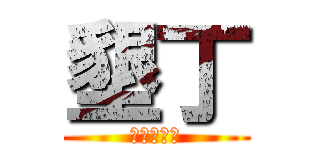 墾丁 (墾丁旅遊團)