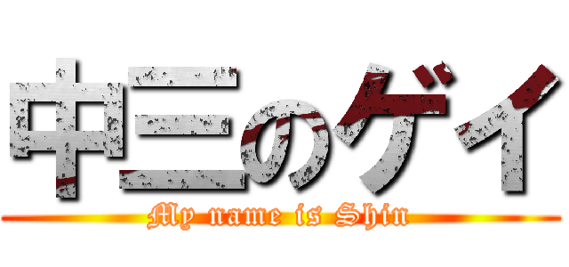 中三のゲイ (My name is Shin)