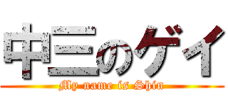 中三のゲイ (My name is Shin)