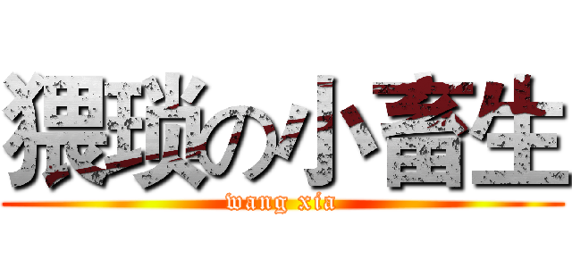 猥琐の小畜生 (wang xia)