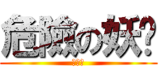 危險の妖貓 (哈哈哈)