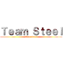 Ｔｅａｍ Ｓｔｅｅｌ (Team Steel)