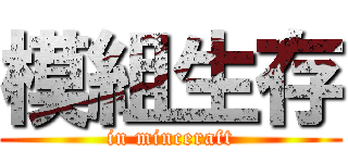 模組生存 (in minceraft)