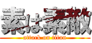 素は素敵 (attack on titan)