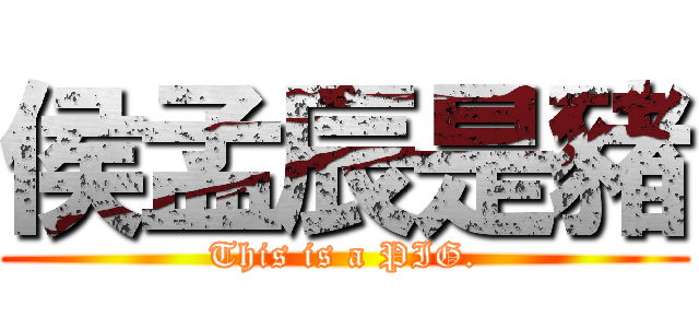 侯孟辰是豬 (This is a PIG.)