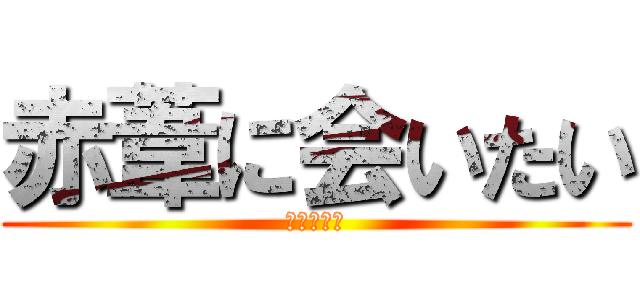 赤葦に会いたい (ハイキュー)