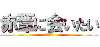 赤葦に会いたい (ハイキュー)