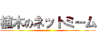 植木のネットミーム (うえｋ)