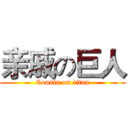 亲戚の巨人 (Cousin on titan)