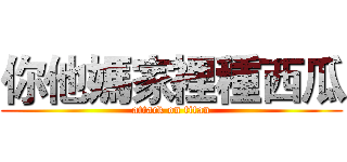 你他媽家裡種西瓜 (attack on titan)