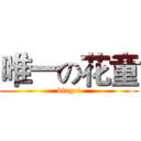 唯一の花童 (bingo!)