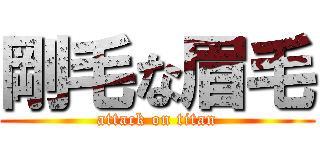 剛毛な眉毛 (attack on titan)