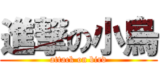 進撃の小烏 (attack on bird)