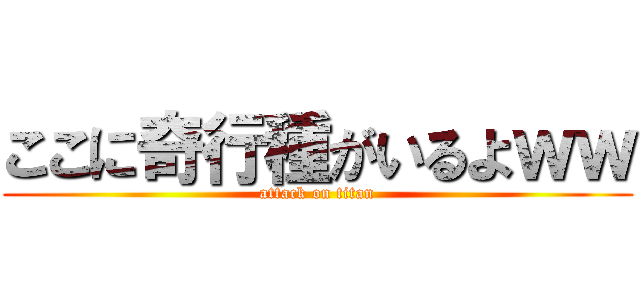 ここに奇行種がいるよｗｗ (attack on titan)