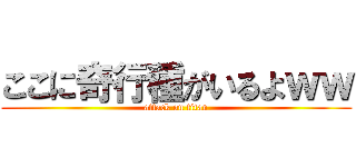ここに奇行種がいるよｗｗ (attack on titan)