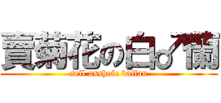 賣菊花の白♂蘭 (sell asshole bailan)