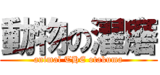 動物の濯磨 (animal THE otakuma)