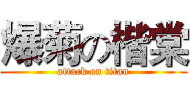 爆菊の楷棠 (attack on titan)
