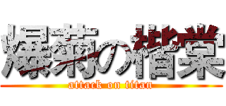 爆菊の楷棠 (attack on titan)