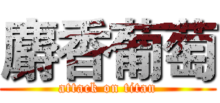 麝香葡萄 (attack on titan)