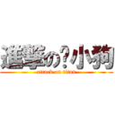 進撃の鲍小狗 (attack on titan)