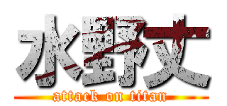 水野丈 (attack on titan)