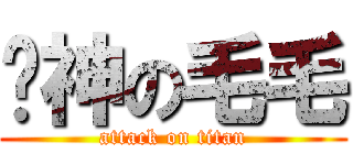 囧神の毛毛 (attack on titan)