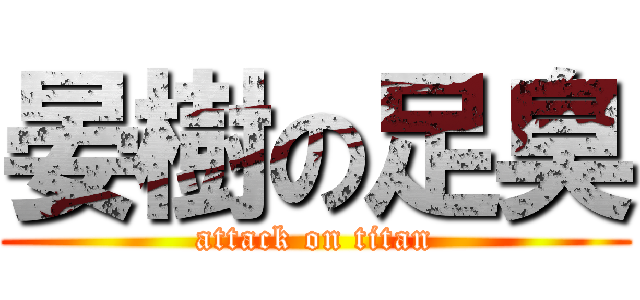 晏樹の足臭 (attack on titan)
