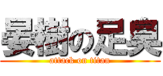 晏樹の足臭 (attack on titan)