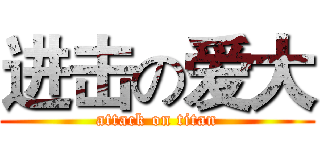 进击の爱大 (attack on titan)