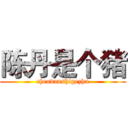 陈丹是个猪 (chendanshigezhu)