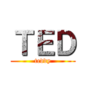 ＴＥＤ (teddy)