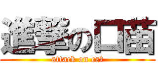 進撃の口苗 (attack on cat)