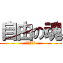 自由の魂 (活着是根本)