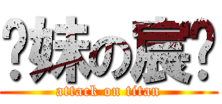 软妹の宸醬 (attack on titan)