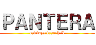 ＰＡＮＴＥＲＡ (cowboys from hell)