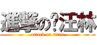 進撃の赵汪林 (attack on titan)