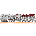 植物毒效果 (植物毒效果【电-186x2687x6963-Q278180069元-吉-药-业】我们做的是长期生意,靠的是老客户长期支持 http://sngk.net/dM7oRM
)