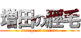 増田の脛毛 (sunege of masuda)