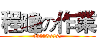 程暐の作業 (992236038)