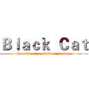 Ｂｌａｃｋ  Ｃａｔ (Loneliness is a kind of freedom)