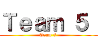 Ｔｅａｍ ５  (Team 5 )