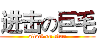 进击の巨毛 (attack on titan)