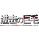 进击の巨毛 (attack on titan)