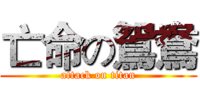 亡命の鴛鴦 (attack on titan)